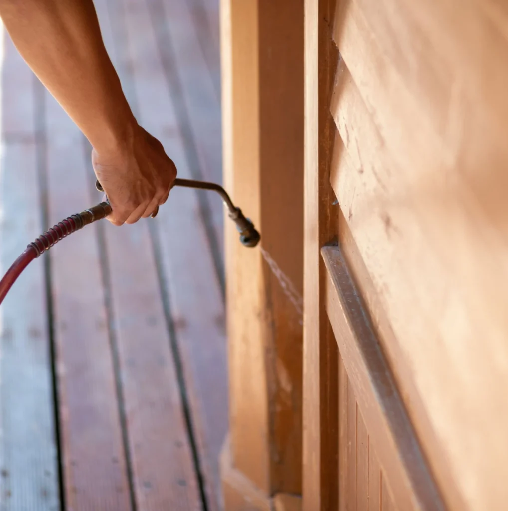 Trusted Pest Control - Peekskill Pest Control Pros | Peekskill, NY | 914-266-8386